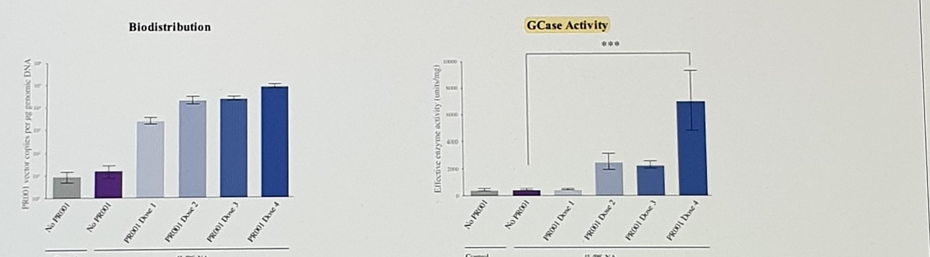 PR001 biodistribution and GCase activity