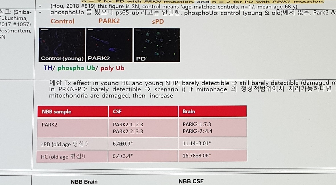 Shiba-Fukushima phospho-Ub IHC panels